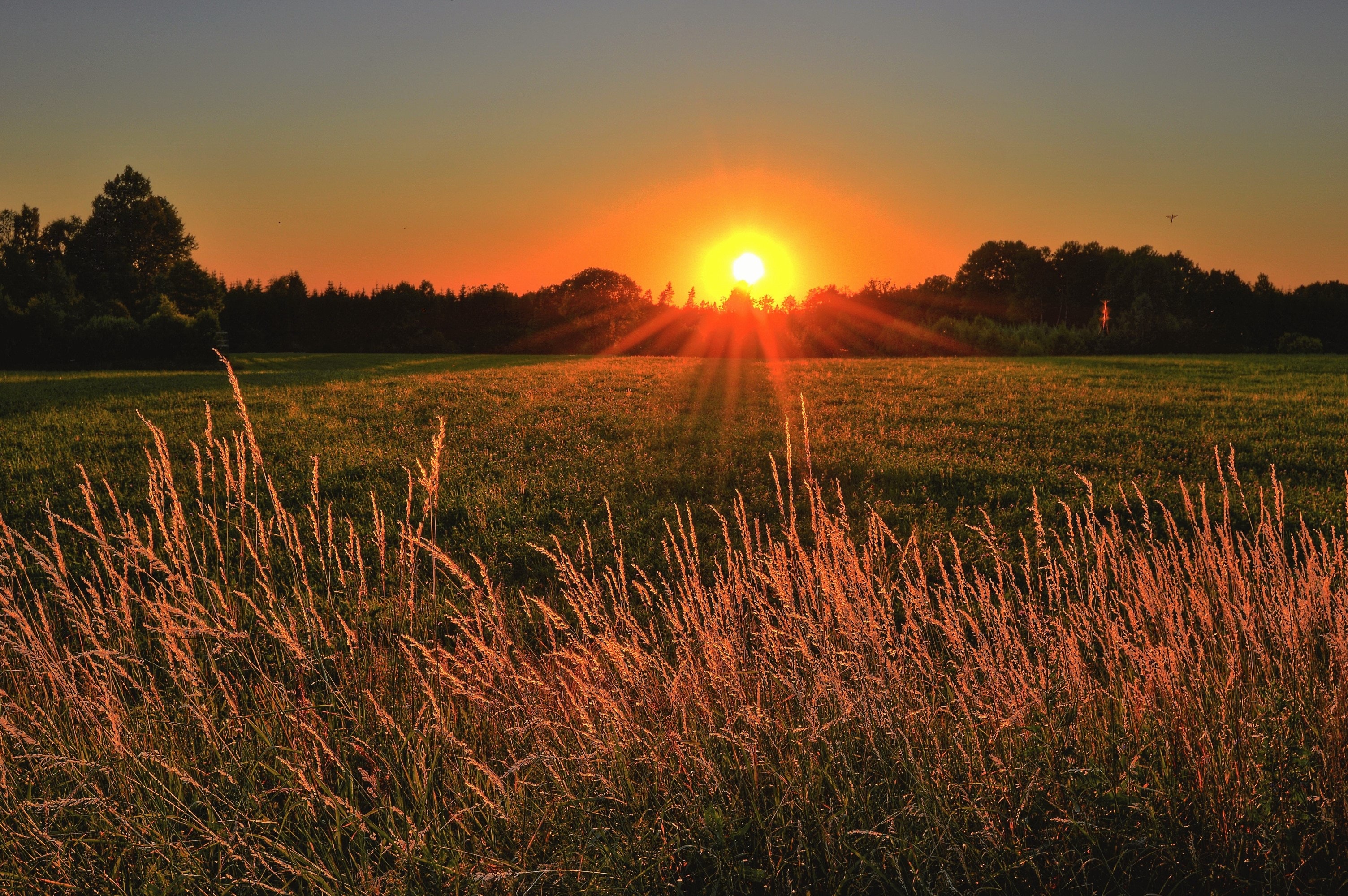 beautiful-cropland-dawn-1237119
