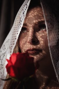 close-up-looking-up-red-rose-2380141